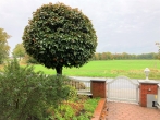 Aus der Tür und in die Natur - Großzügige Doppelhaushälfte mit Blick ins Grüne