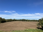 Aussicht - Großzügige Doppelhaushälfte mit Blick ins Grüne